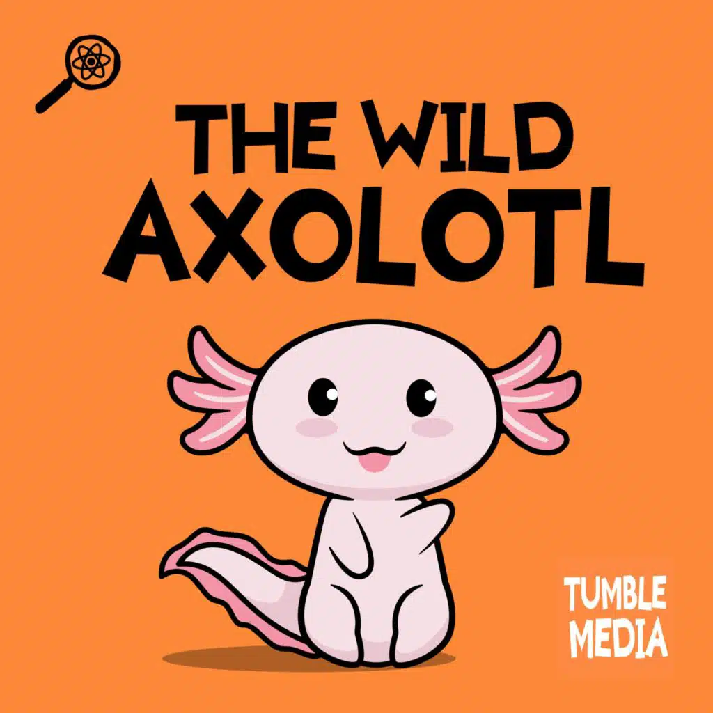 The Wild Axolotl