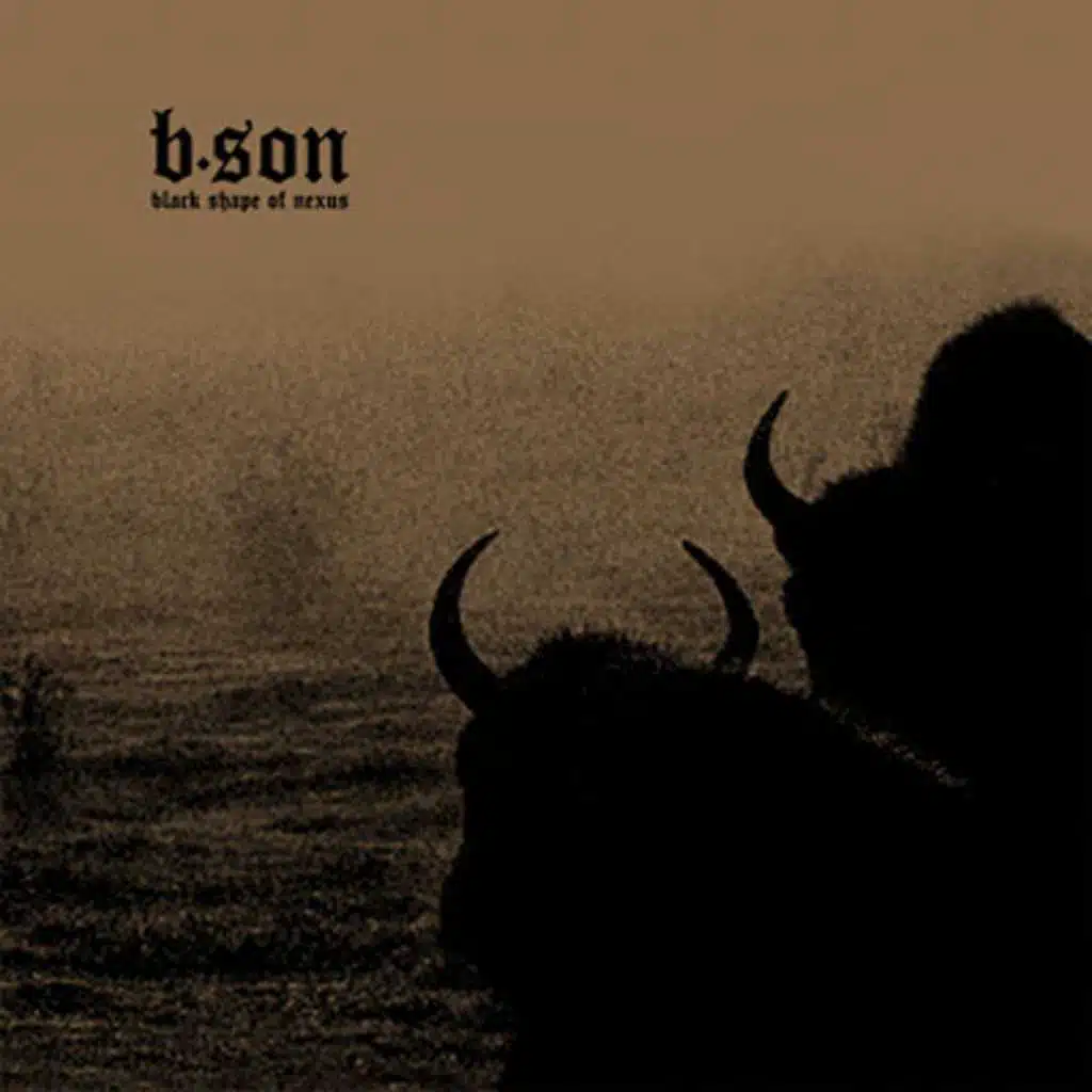 Black Shape of Nexus (B.Son)