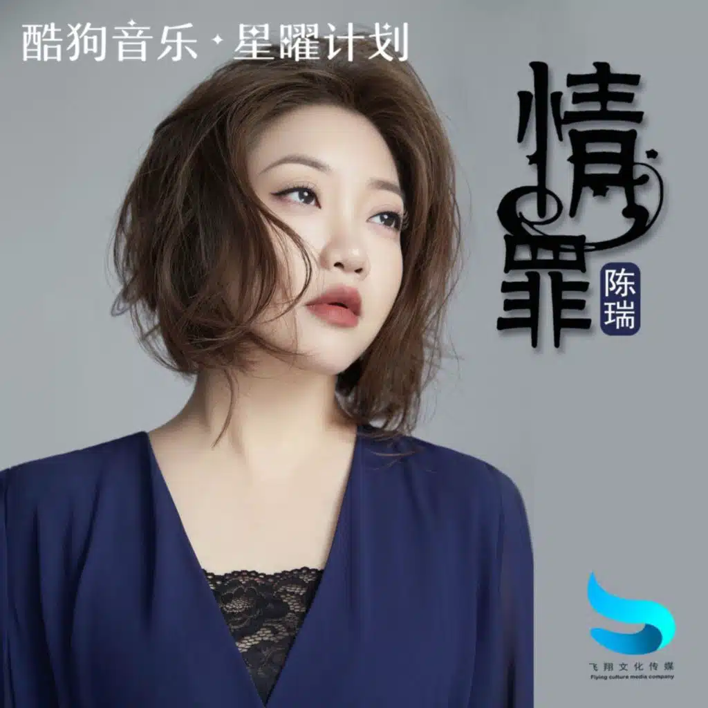 情罪 (电吹管版)