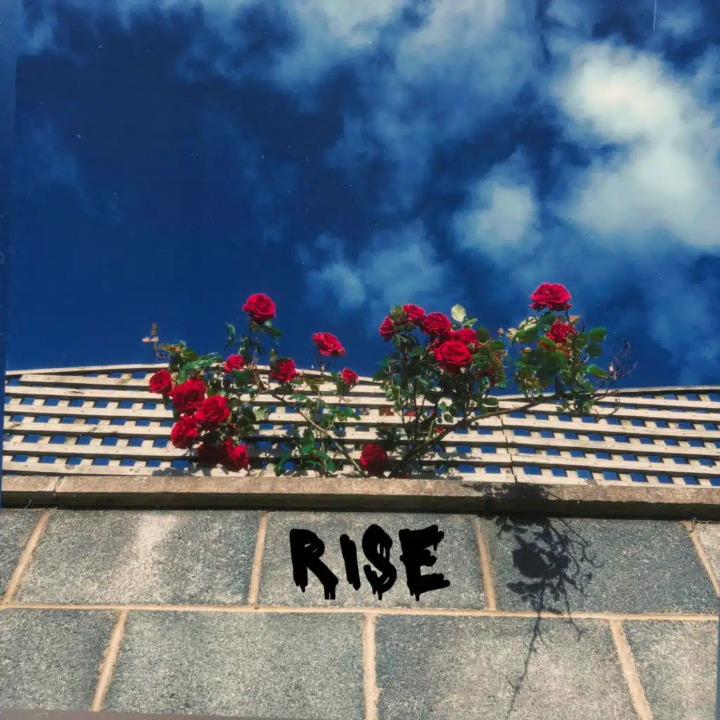Rise