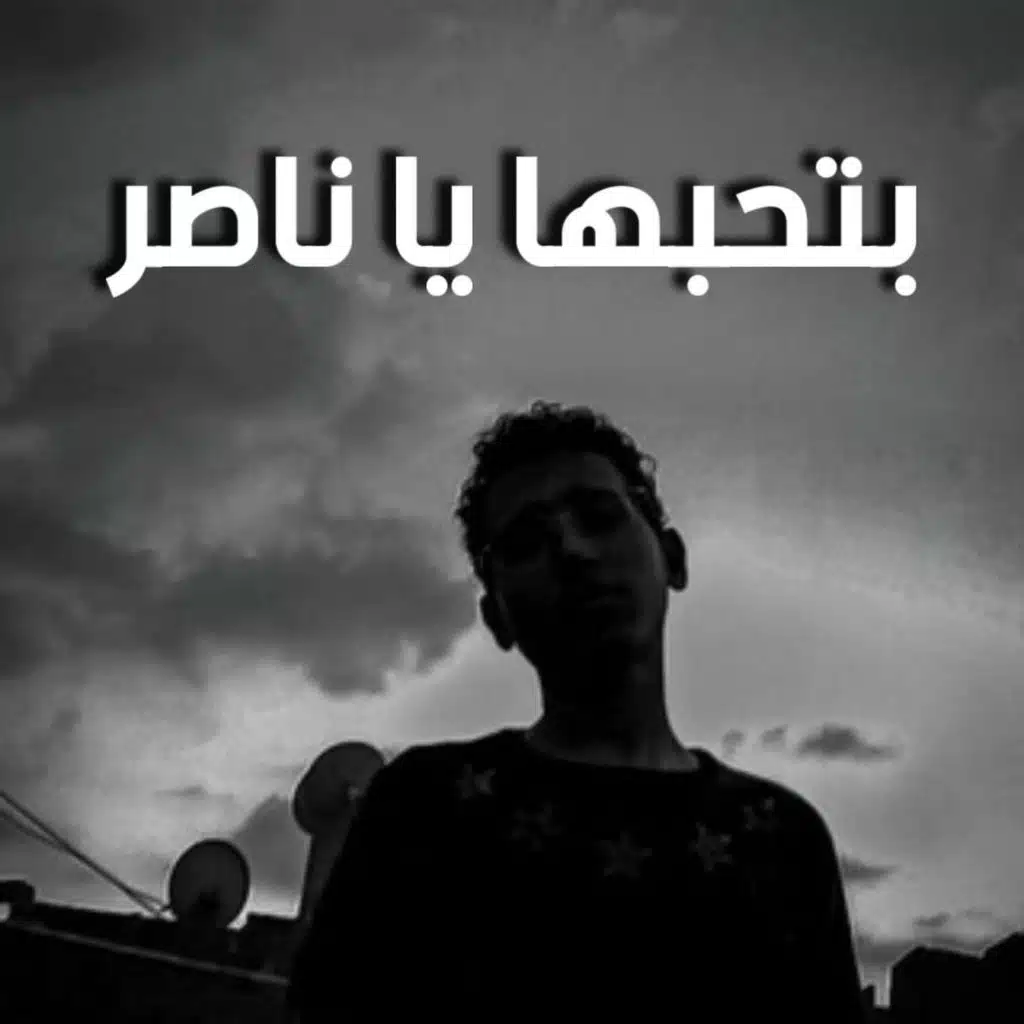 بتحبها يا ناصر
