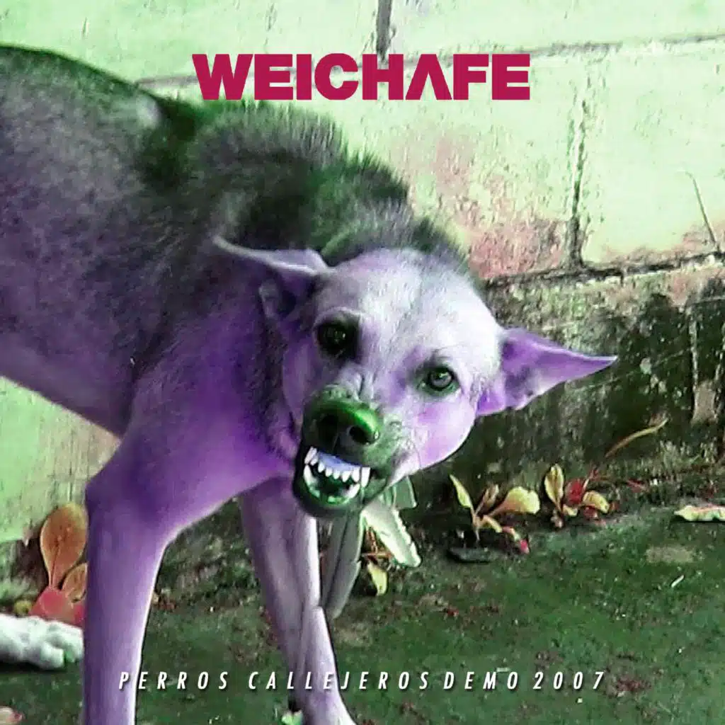 Perros Callejeros (Demo 2007)