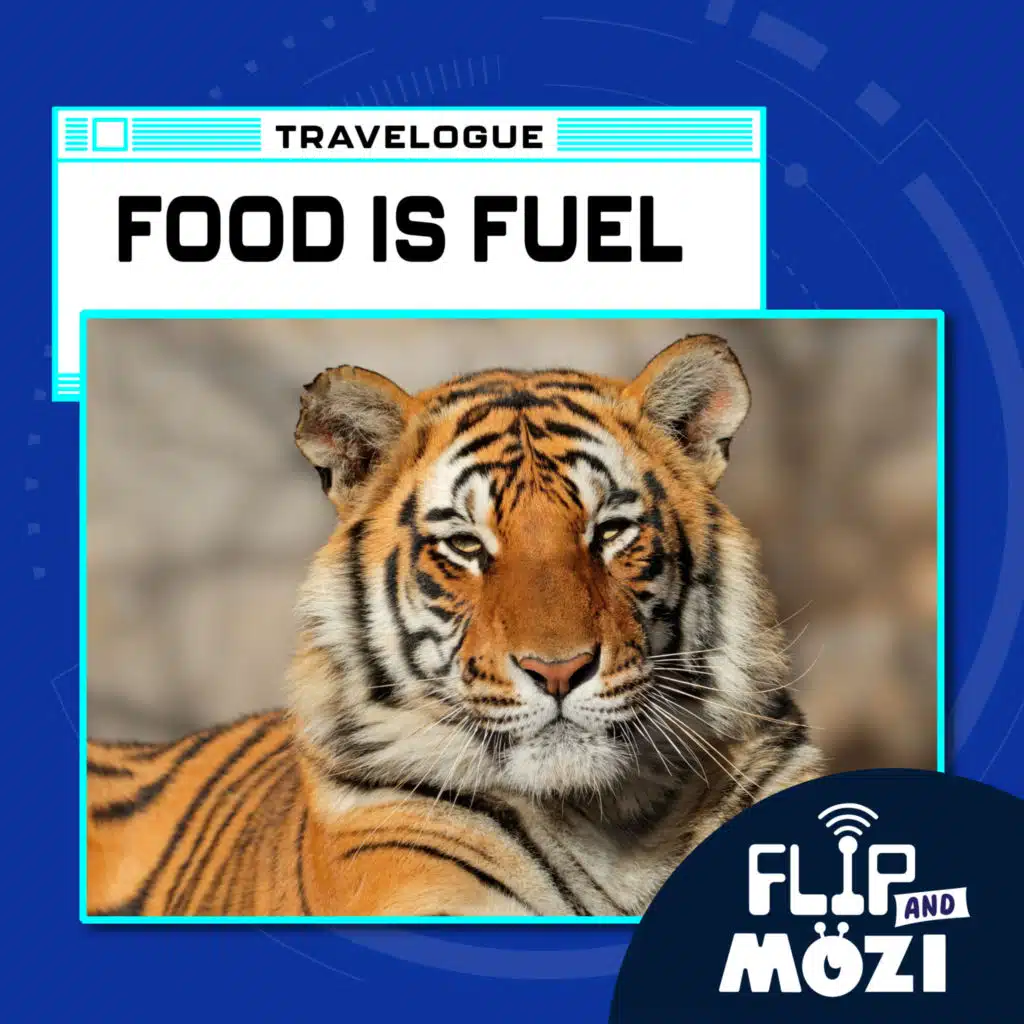Travelpod: Food Is Fuel