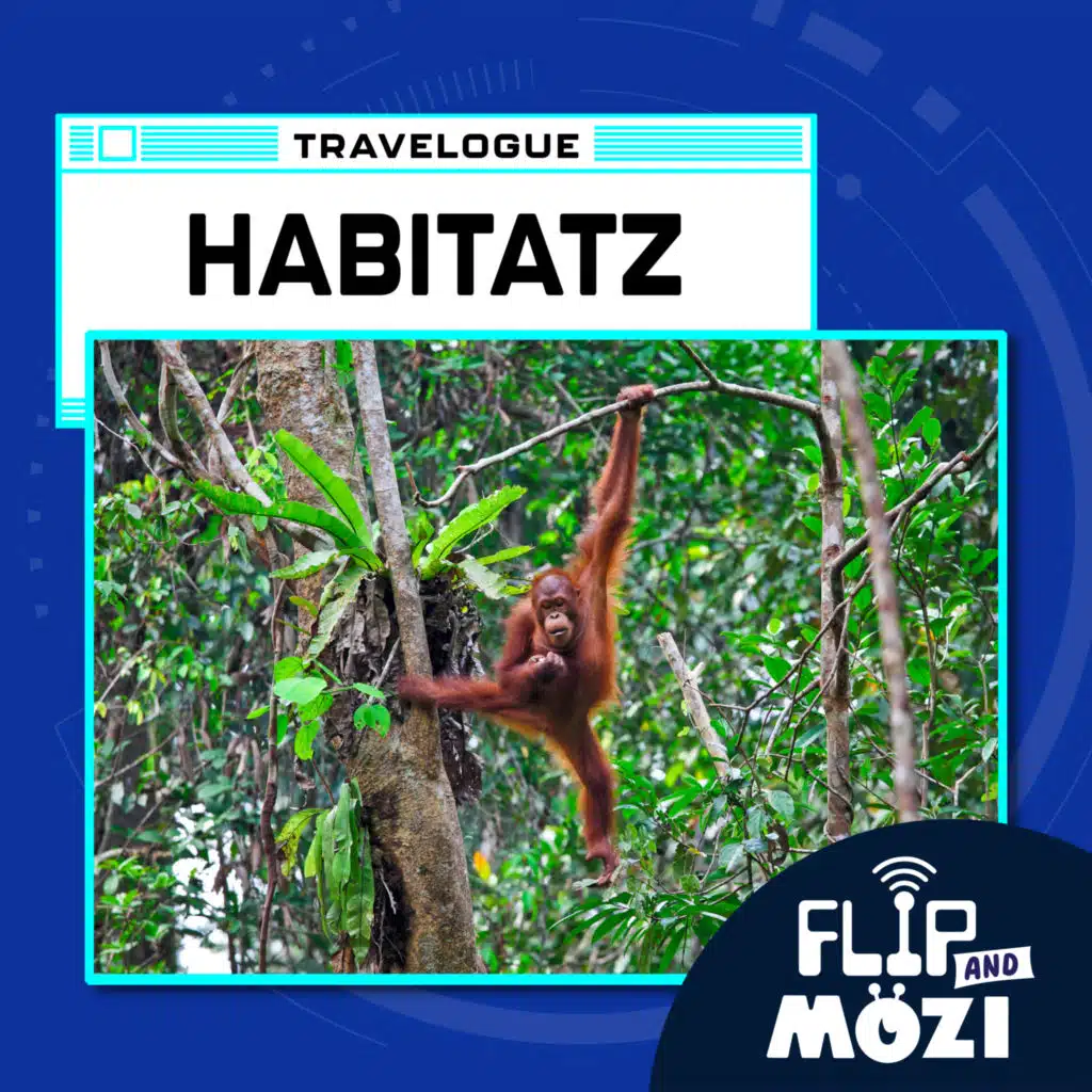 Travelpod: Habitatz