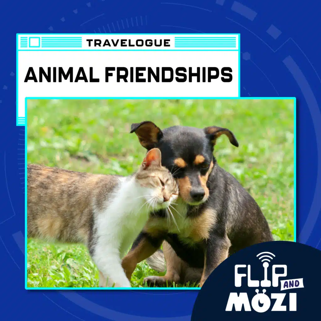 Travelpod: Animal Friendships (6/22/23)