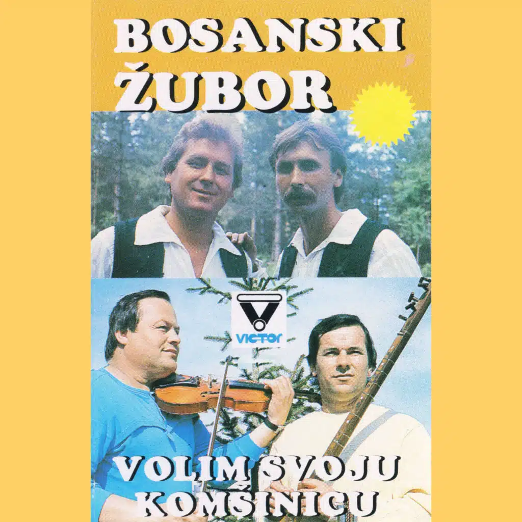 Bosanski zubor