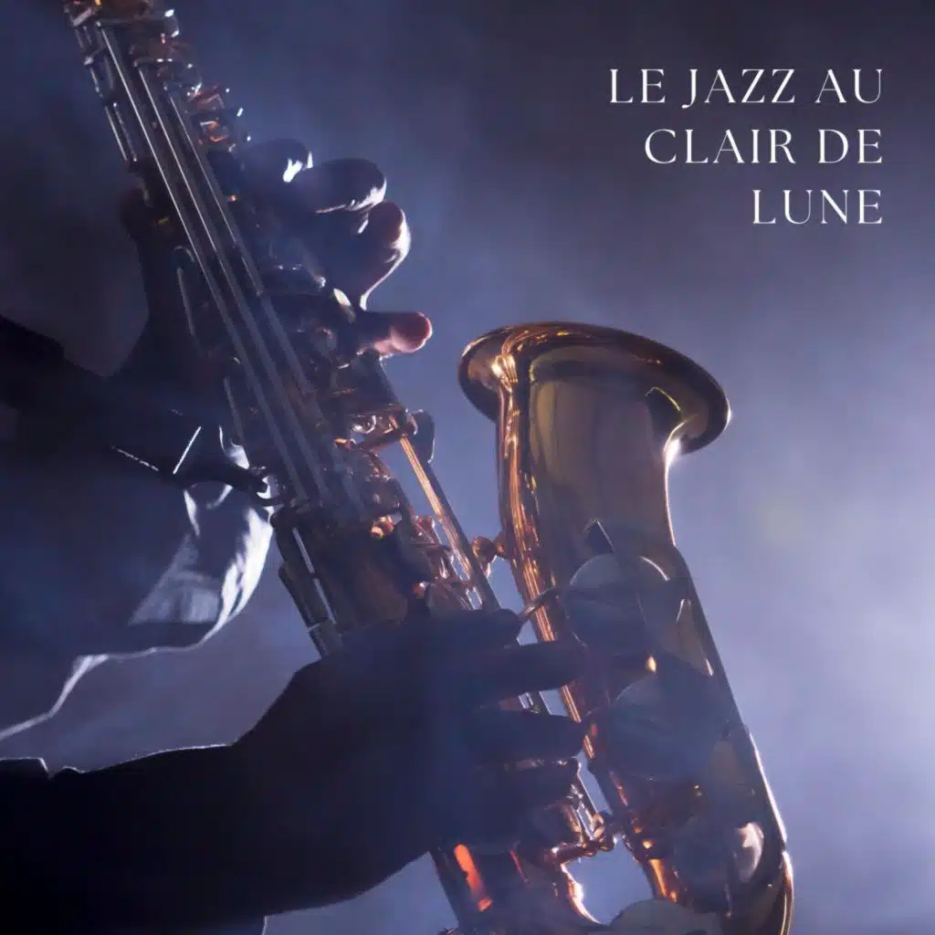 Plumes de Nuit