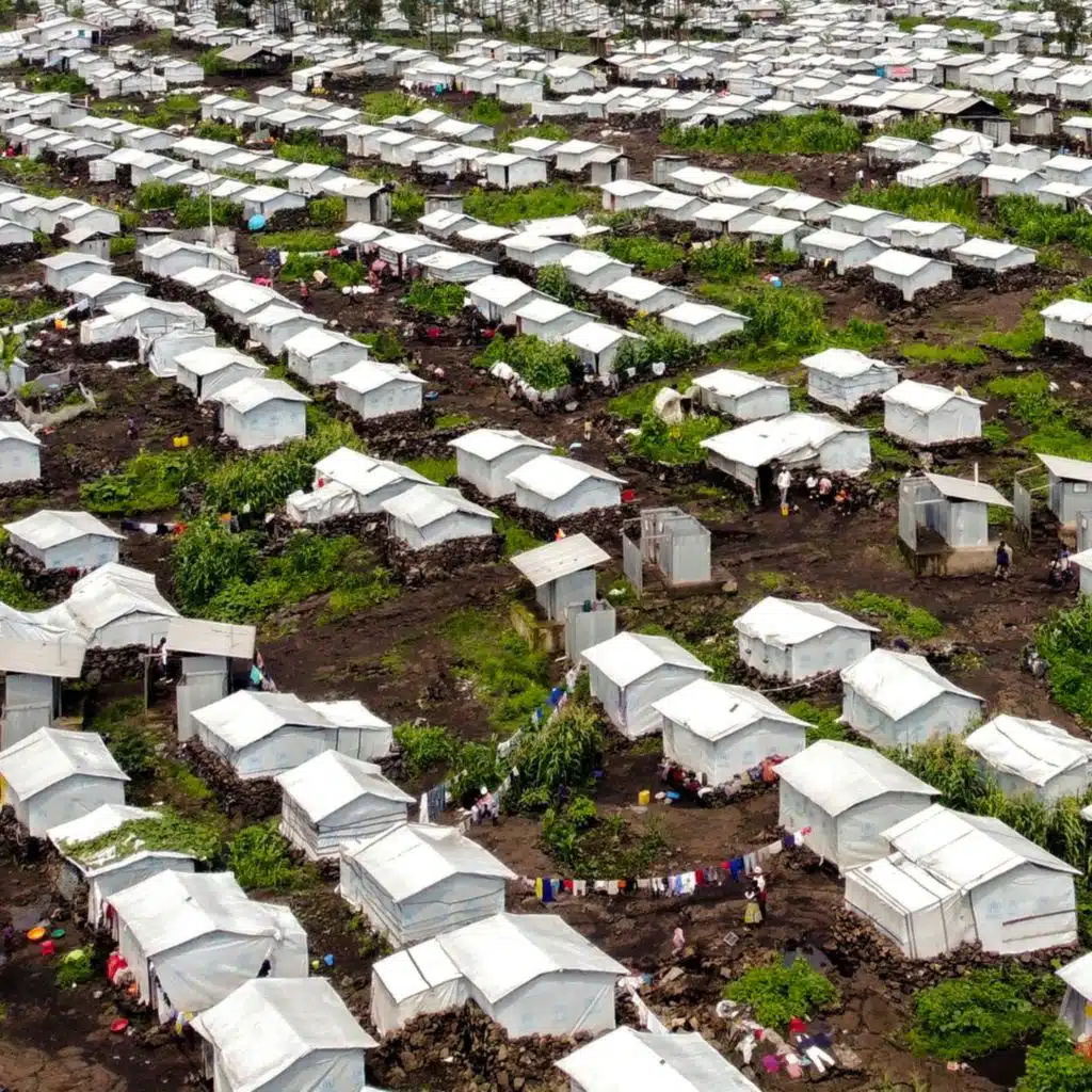 La FAO en minutos – 20 de enero de 2025
