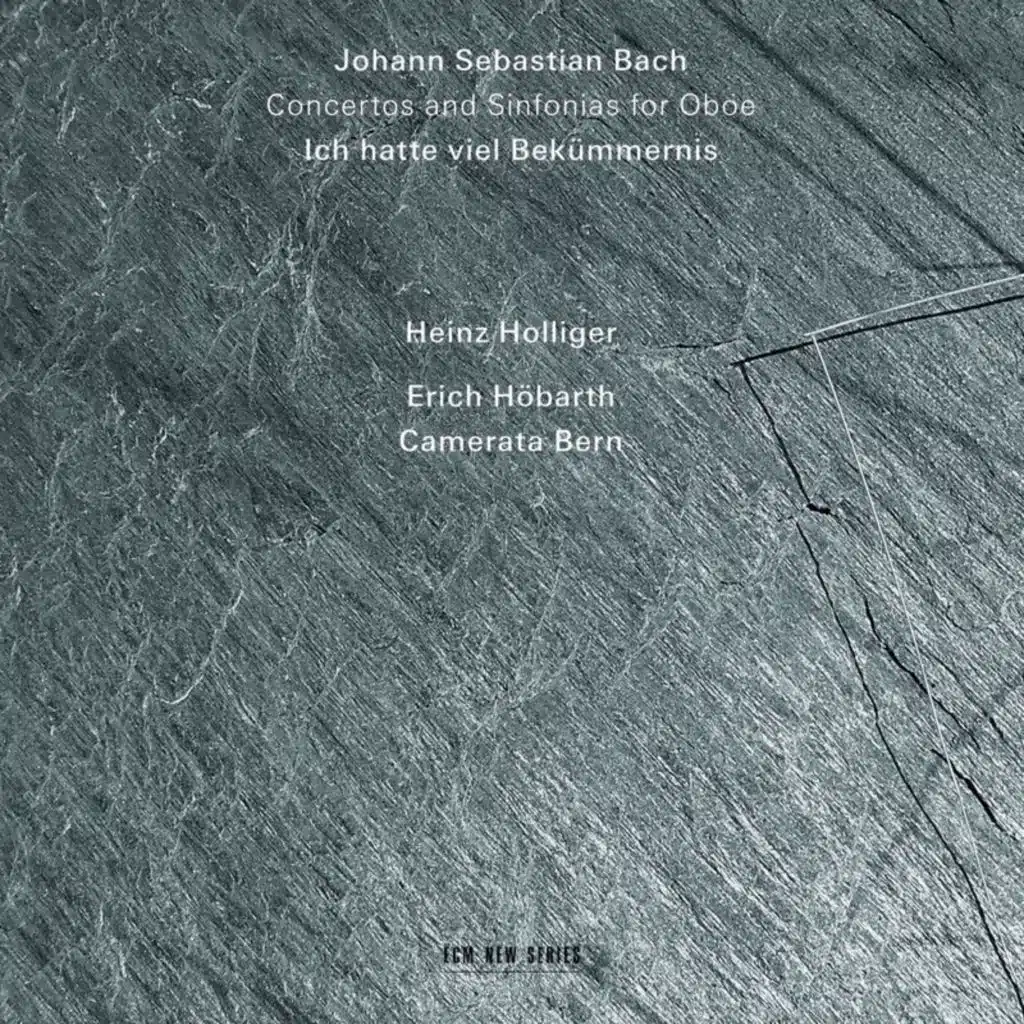 J.S. Bach: Oboe d'amore Concerto in A Major, BWV 1055R (Ed. Fischer): I. [Allegro]