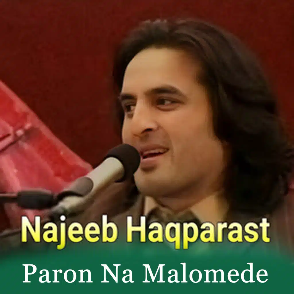 Najeeb Haqparast