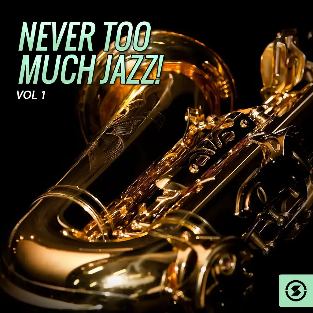 Never Too Much Jazz!, Vol. 1