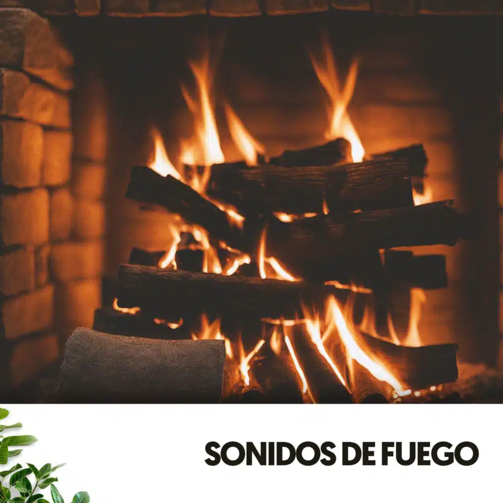 Serenidad bajo las estrellas