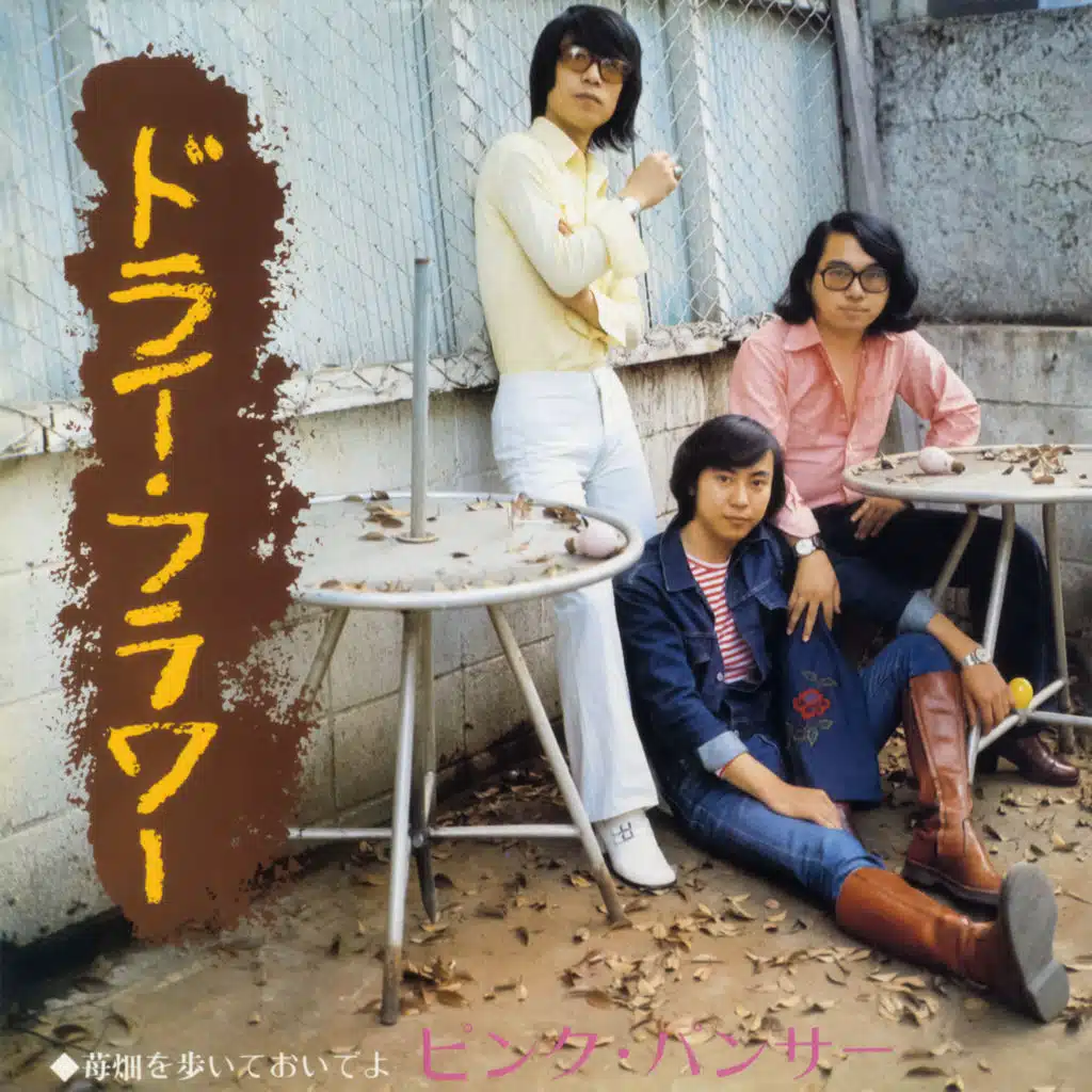 Dried Flower / Ichigo-Batake O Aruite Oideyo