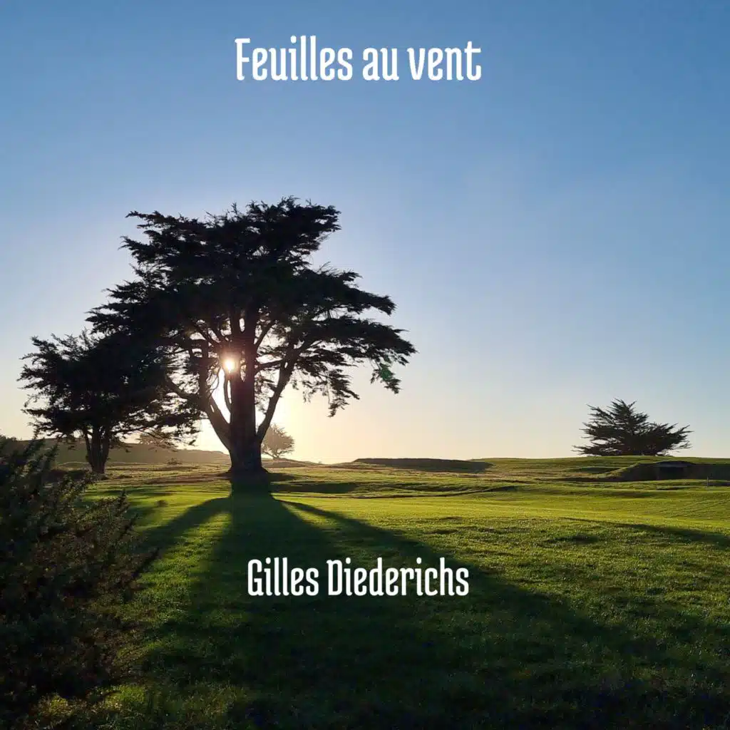 Gilles Diederichs