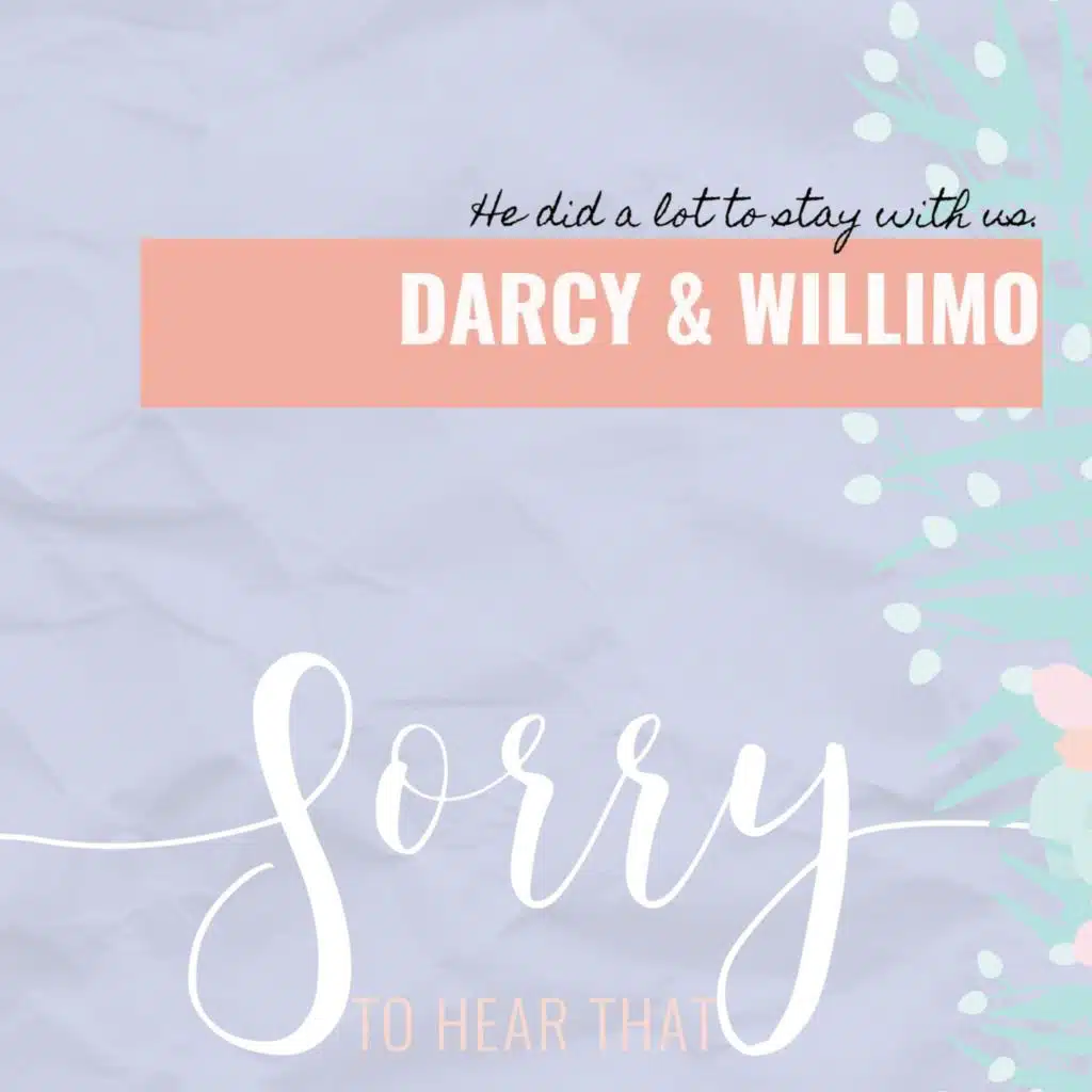 Darcy & WilliMo - He did a lot to stay with us.