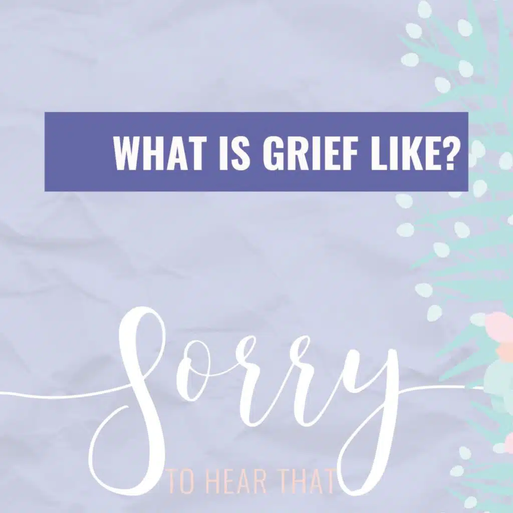 What is Grief Like?