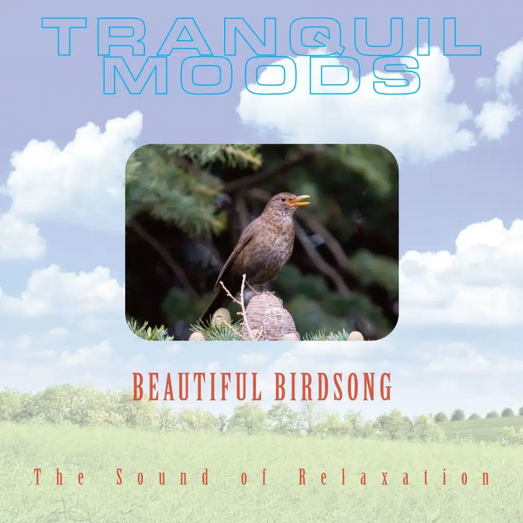 Beautiful Birdsong