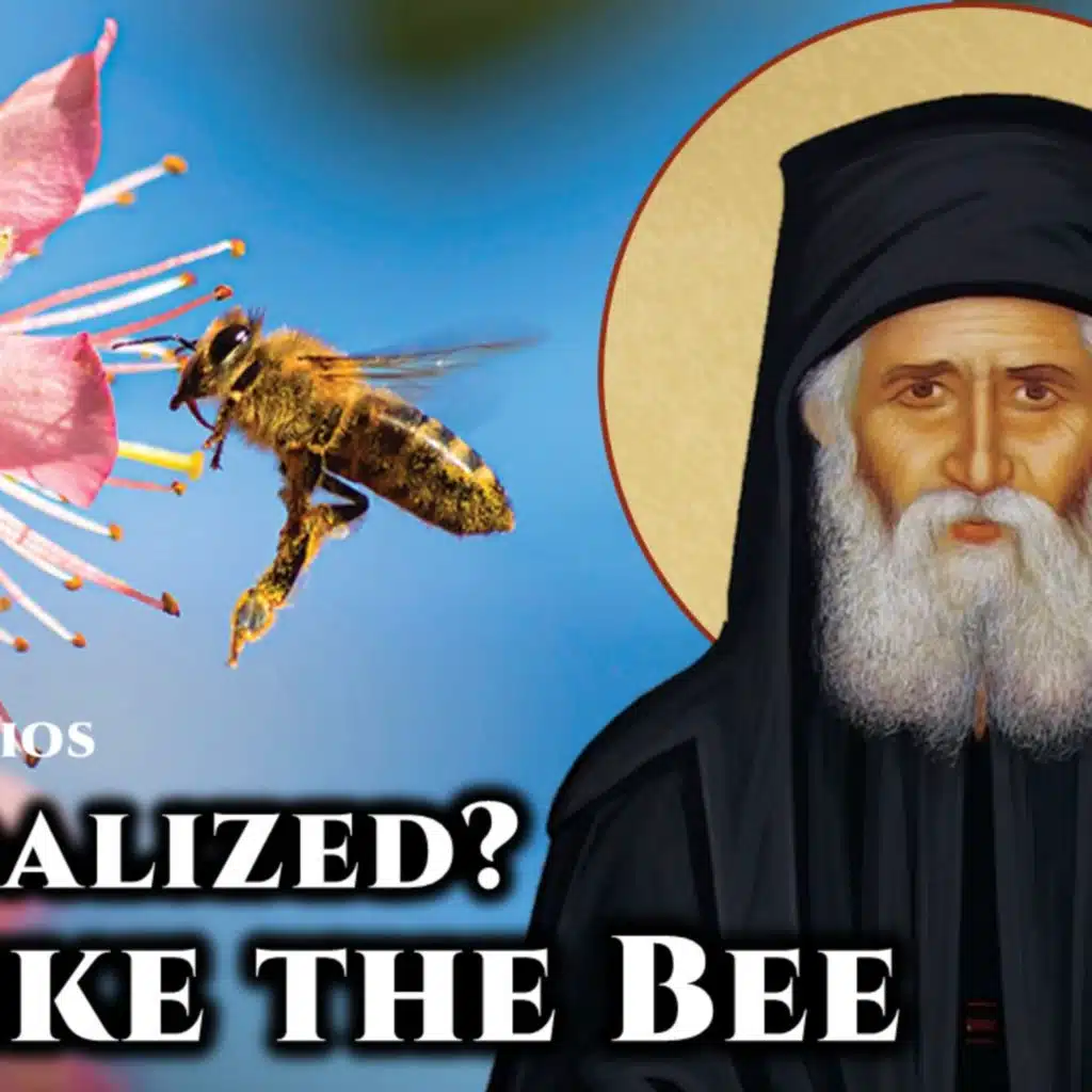 Scandalized? Be Like the Bee - St. Paisios the Athonite