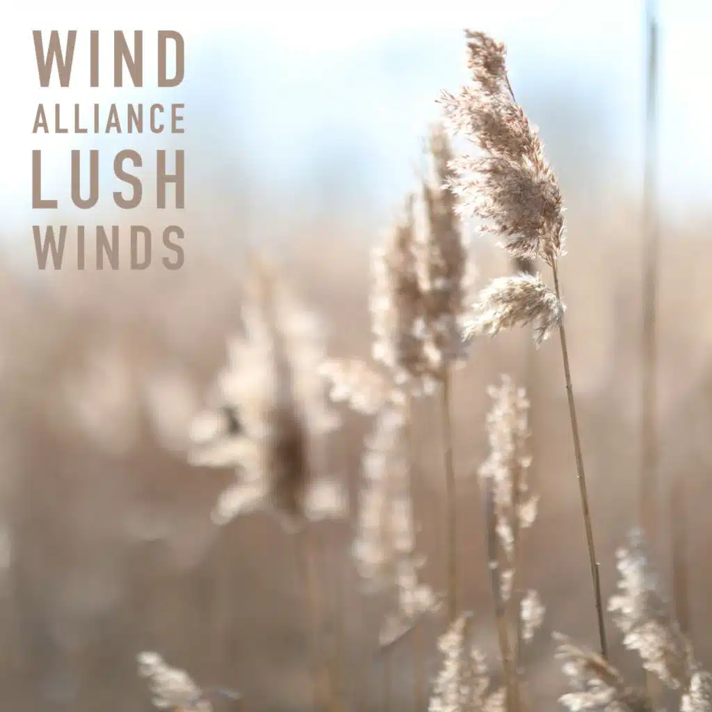 Lush Winds