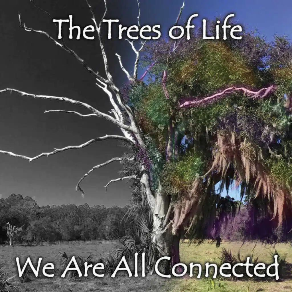 We are all Connected