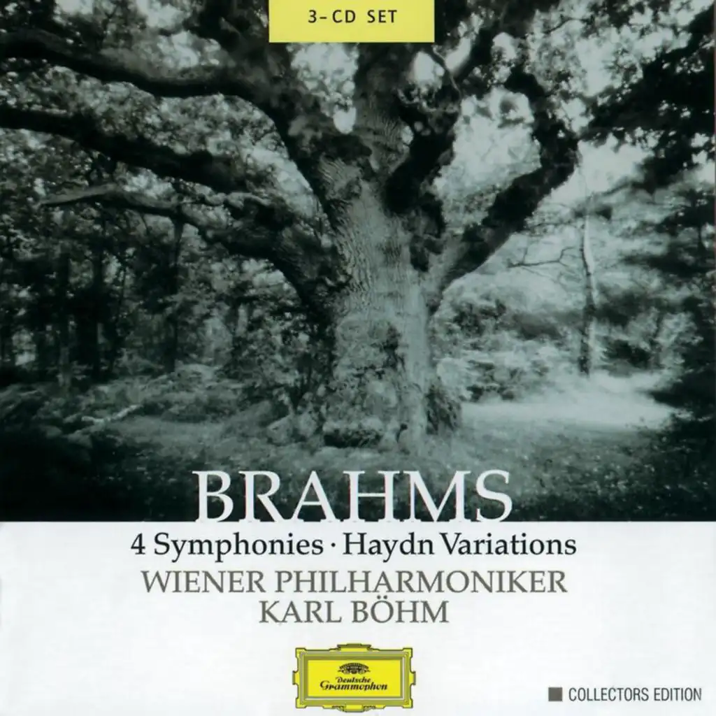 Brahms: Symphony No. 4 In E Minor, Op. 98: 3. Allegro giocoso - Poco meno presto - Tempo I