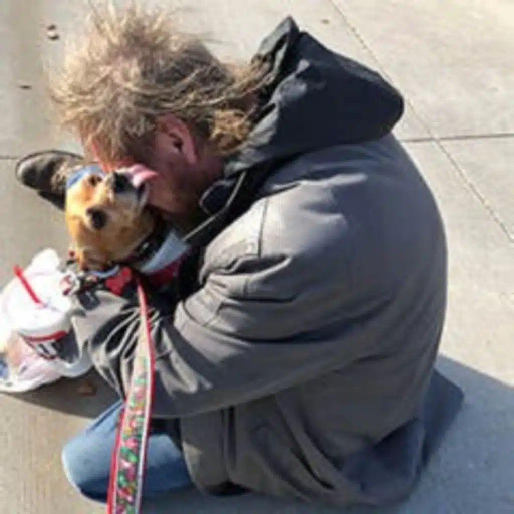 We'll Watch Your Dog While You're in Rehab