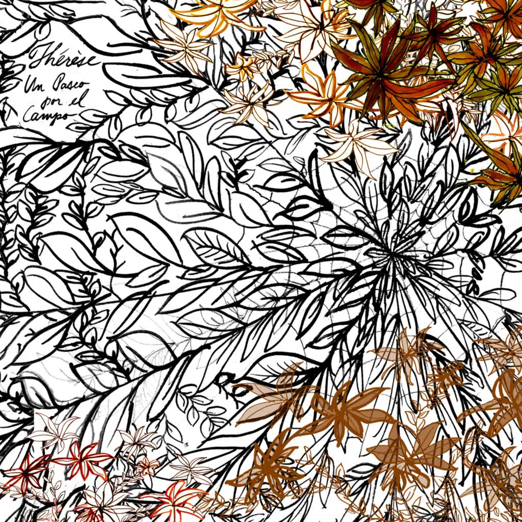 Un paseo por el campo