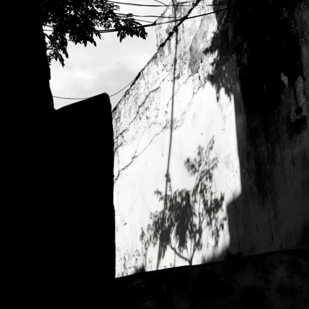 Velvet Dusk (Sinego Remix)