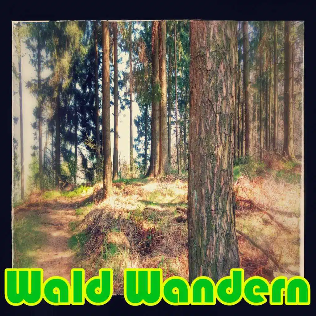 Wald Wandern (Tech House Lounge Area)