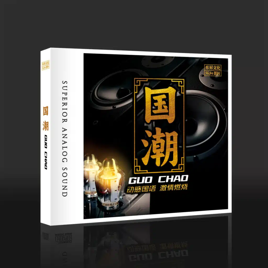 国潮DJ (DJ默涵版)