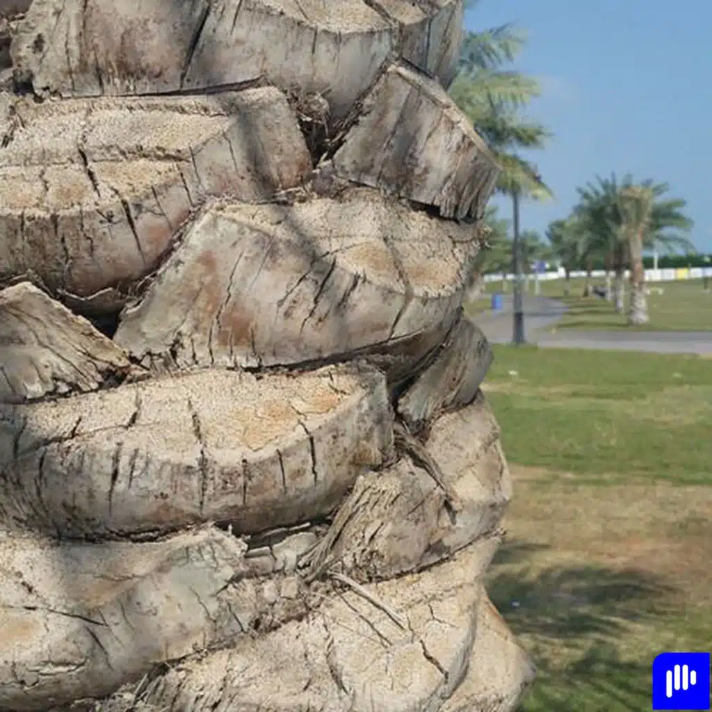 الحلقة 9 - عقد العمل  سؤال و جاب