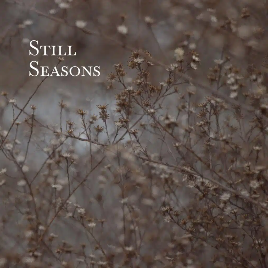 Still Seasons