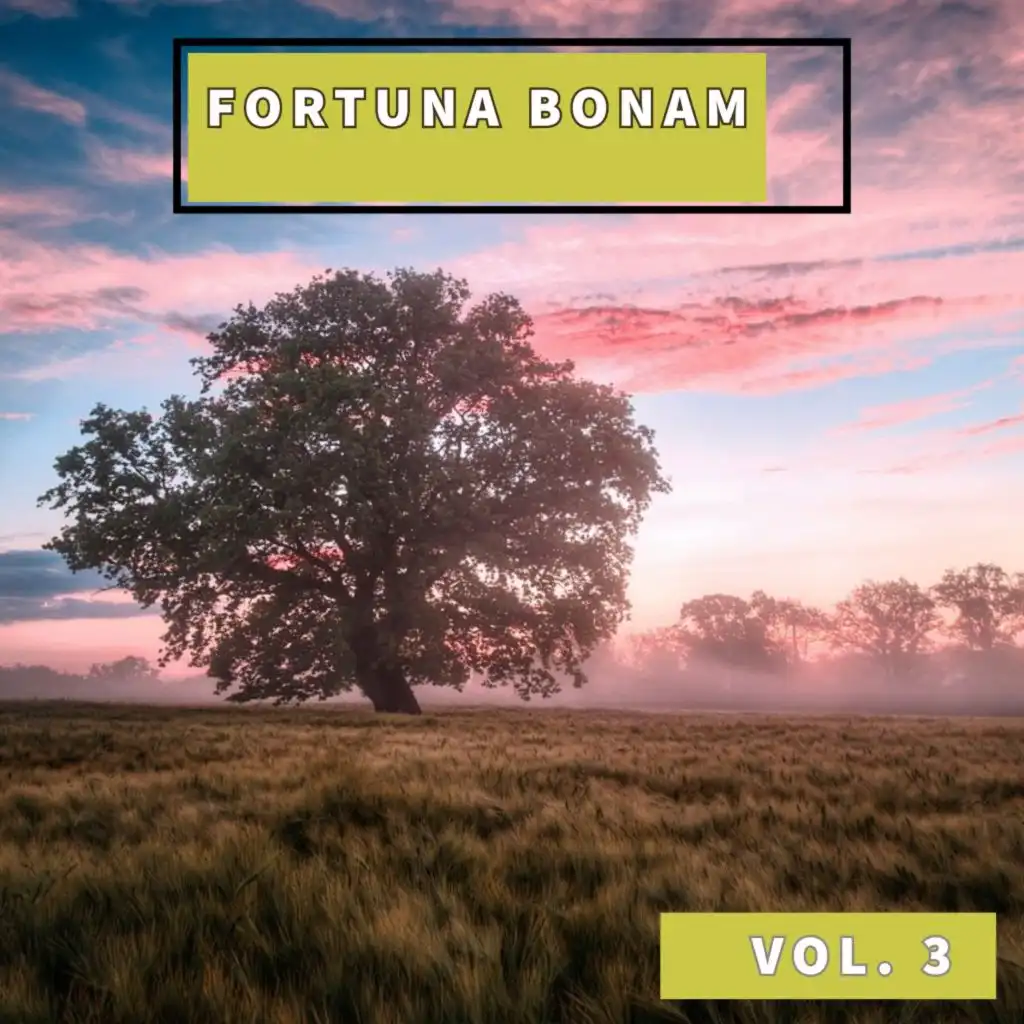 Fortuna Bonam