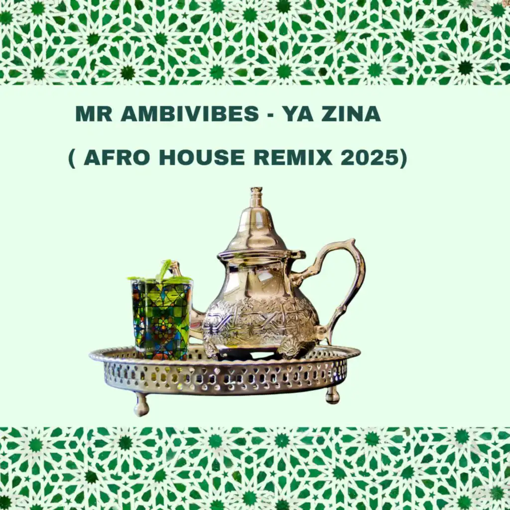 MR AMBIVIBES