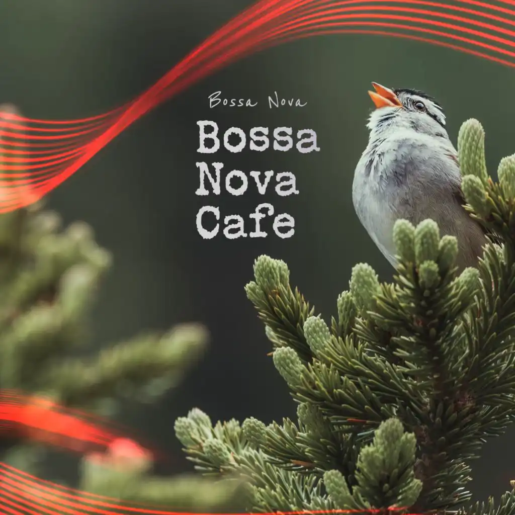 Bossa Nova