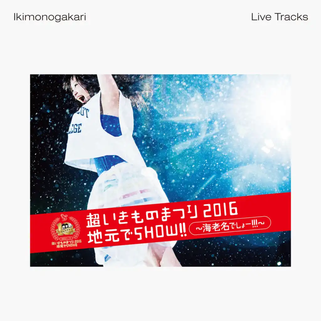 Uruwashiki Hito -2016 Live Track (Ebina)-