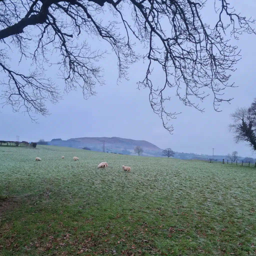 Sound Escape 205. A winter morning's walk through fields of frost
