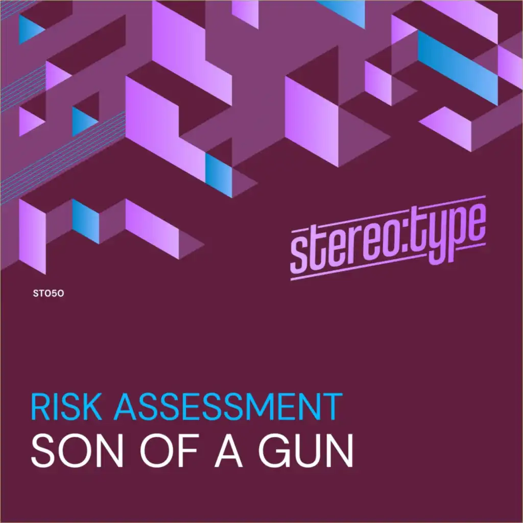 Risk Assessment