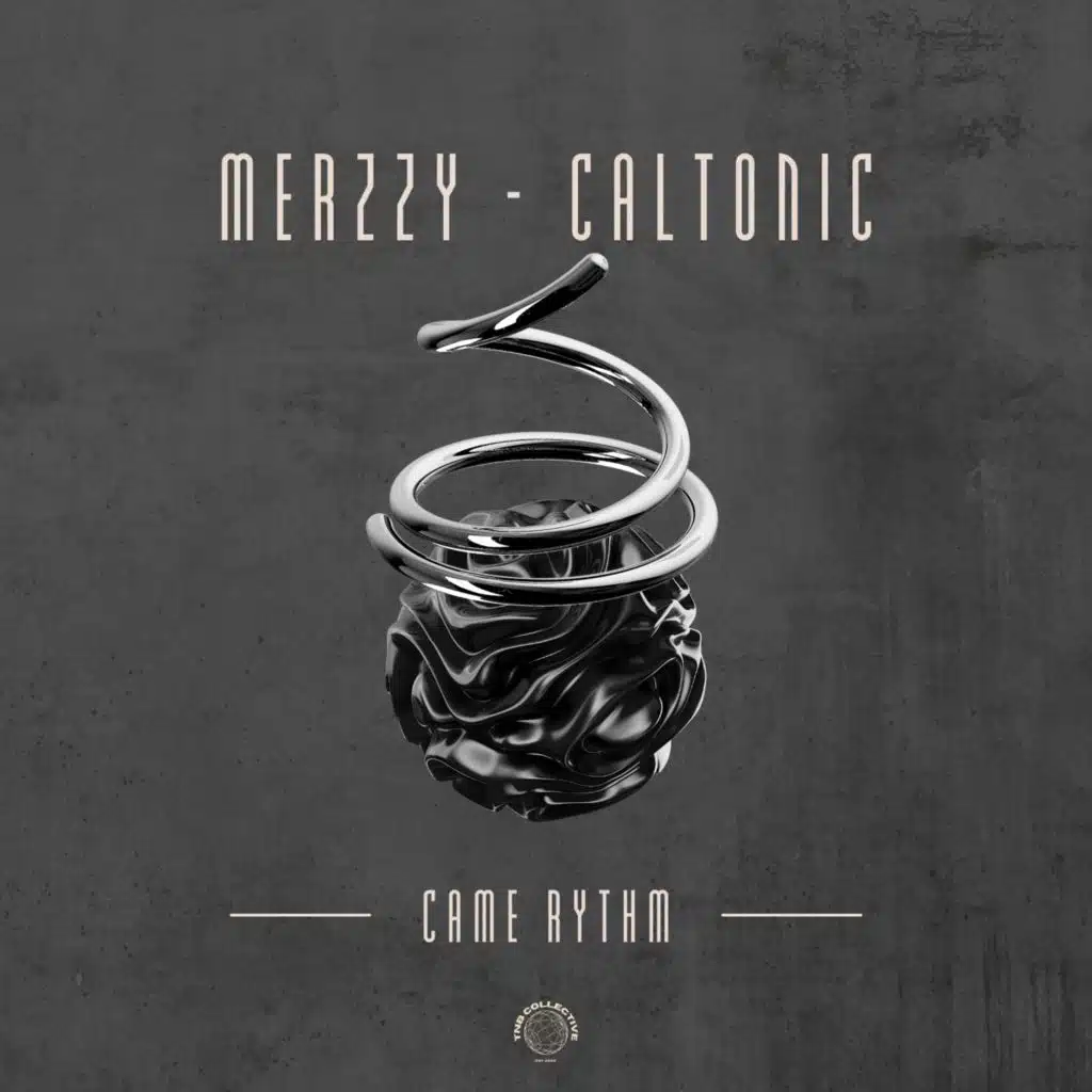 Came Rythm (feat. Caltonic SA)