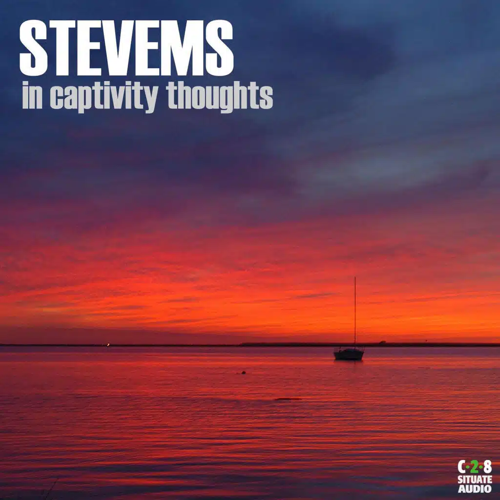 In Captivity Thoughts (Original Mix)
