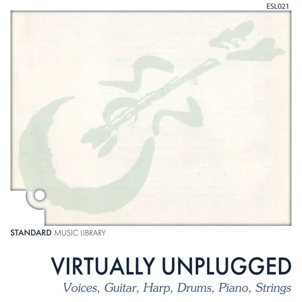 Standard Music Library