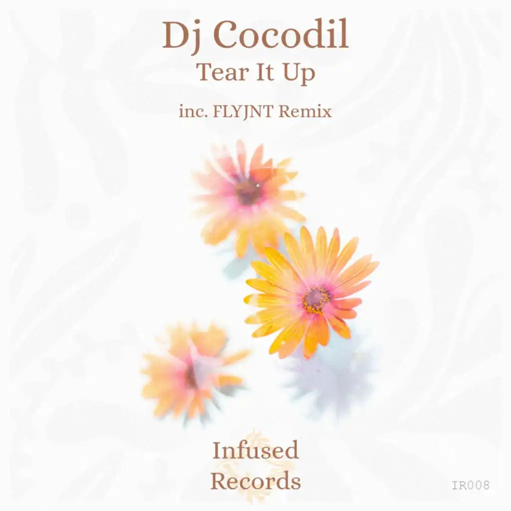 DJ Cocodil