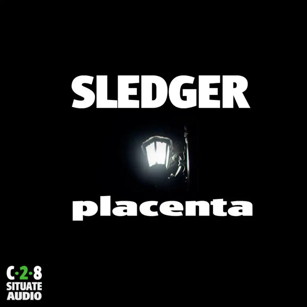 Placenta (Original Mix)