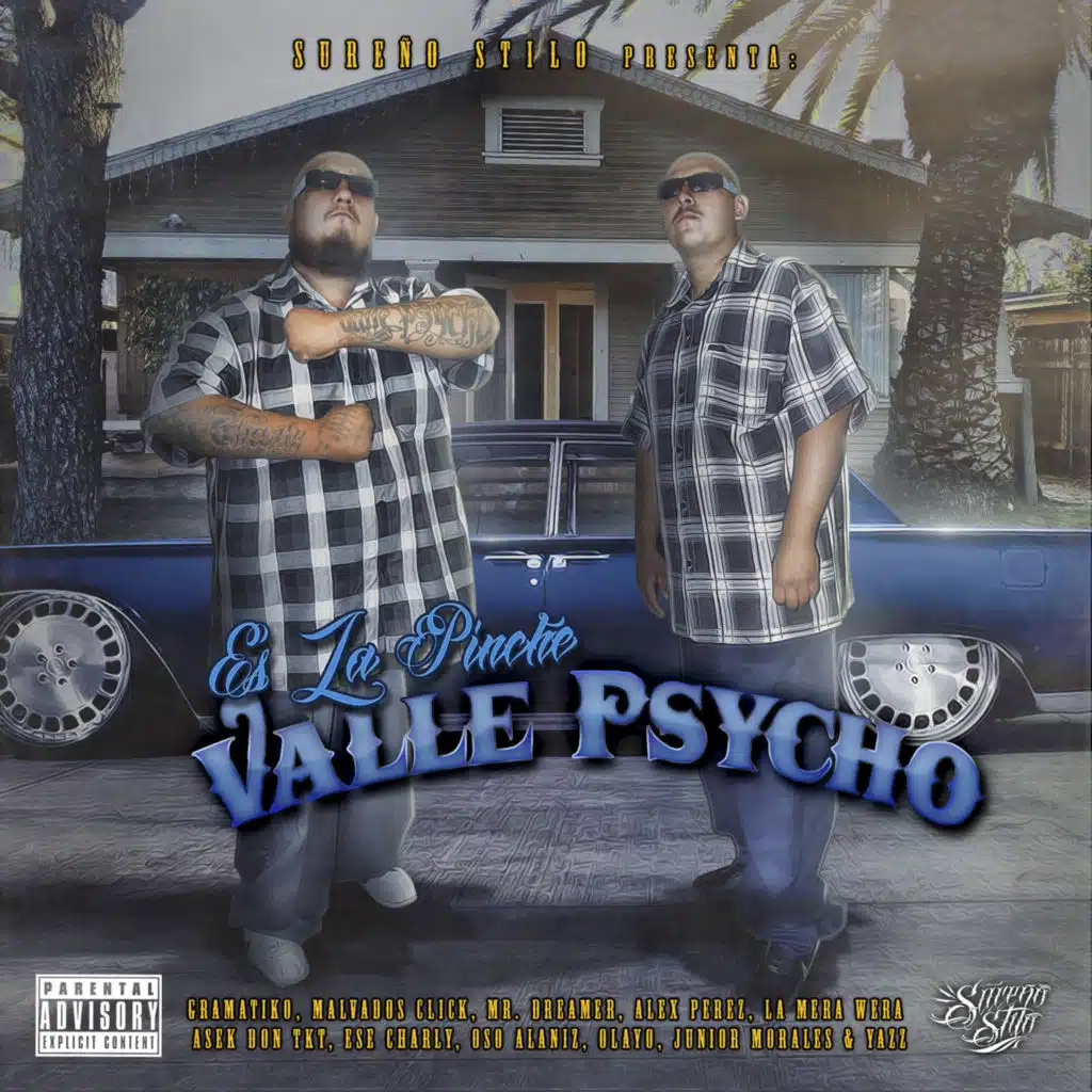 Es La Pinche Valle Psycho