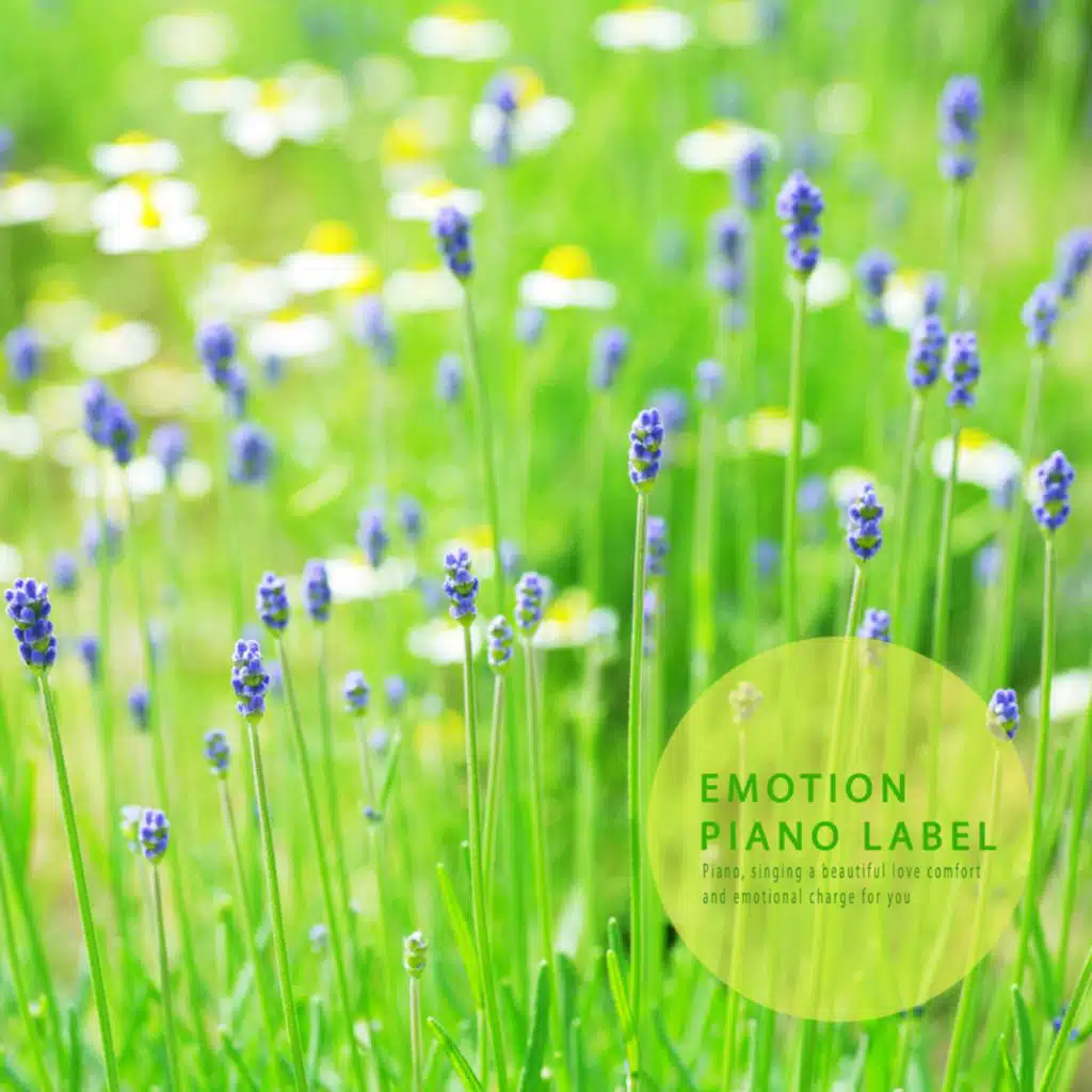 Sensual New Age piano filled with fresh spring fragrance
