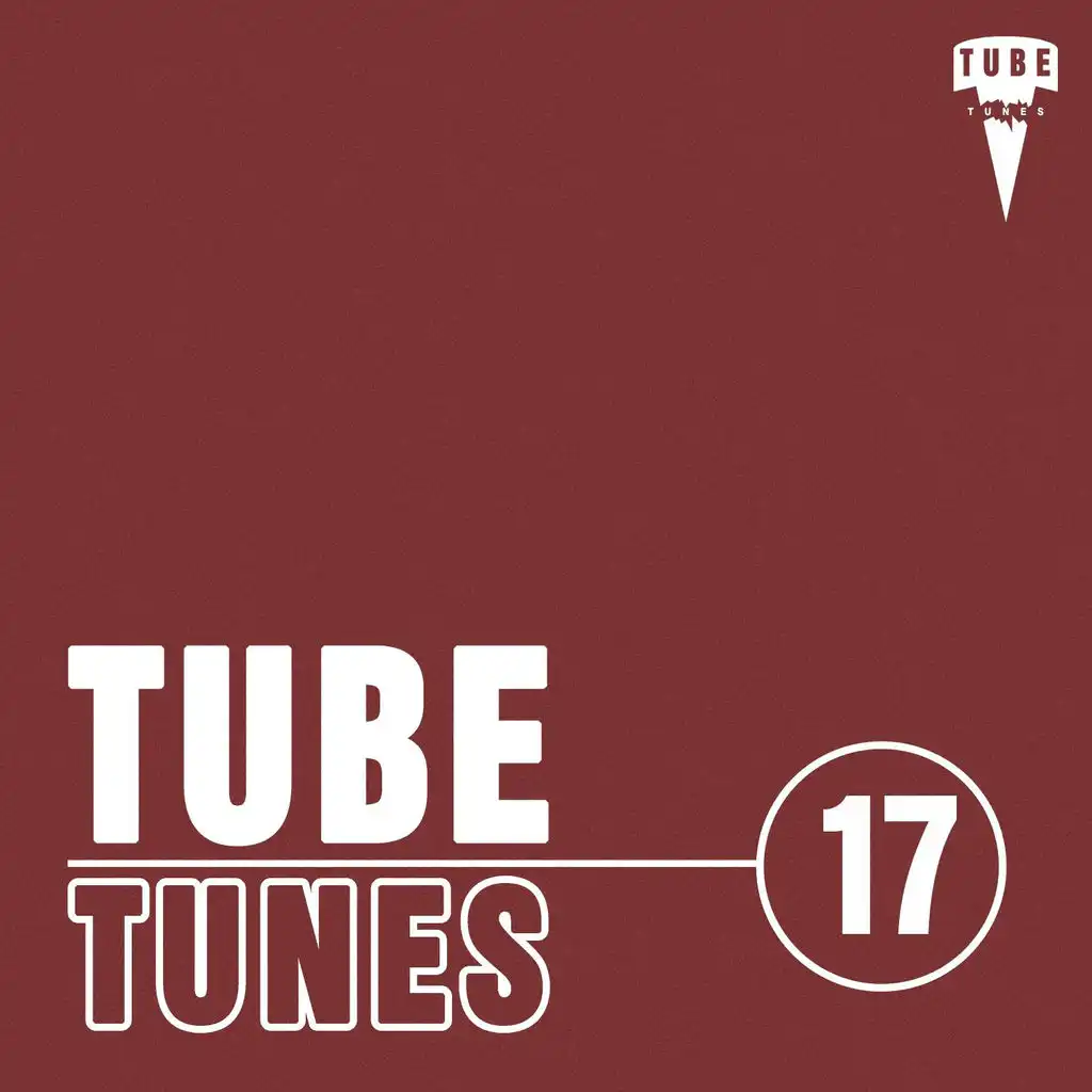Tube Tunes, Vol.17