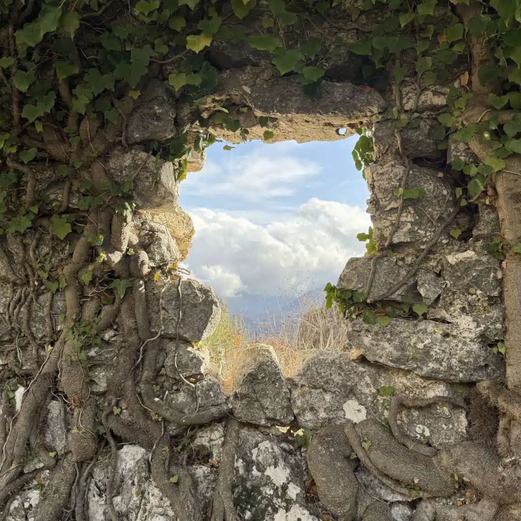 Kreative mennesker skal ikke drive forretning