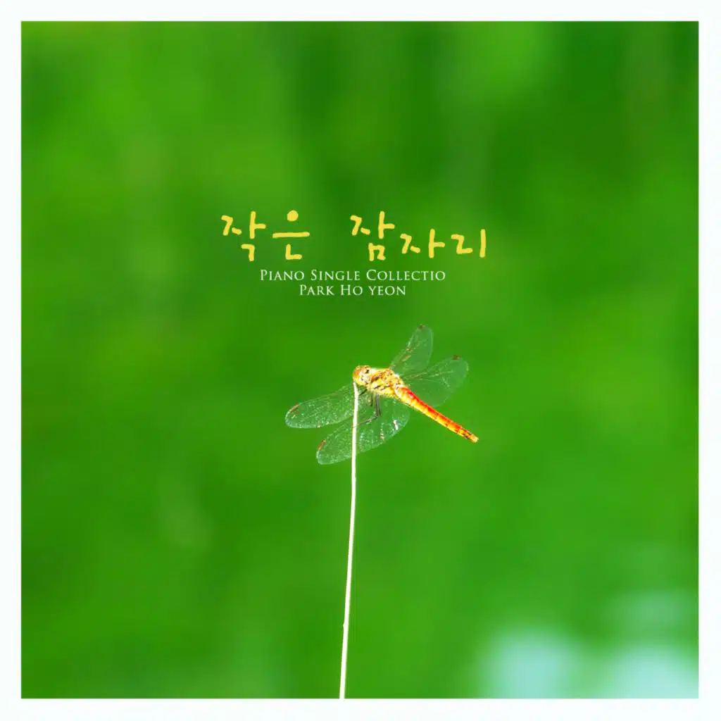 A small dragonfly