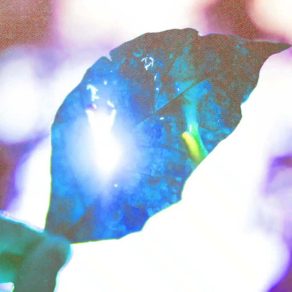 Weak (Sped Up) - I Get so Weak in the Knees I Can Hardly Speak