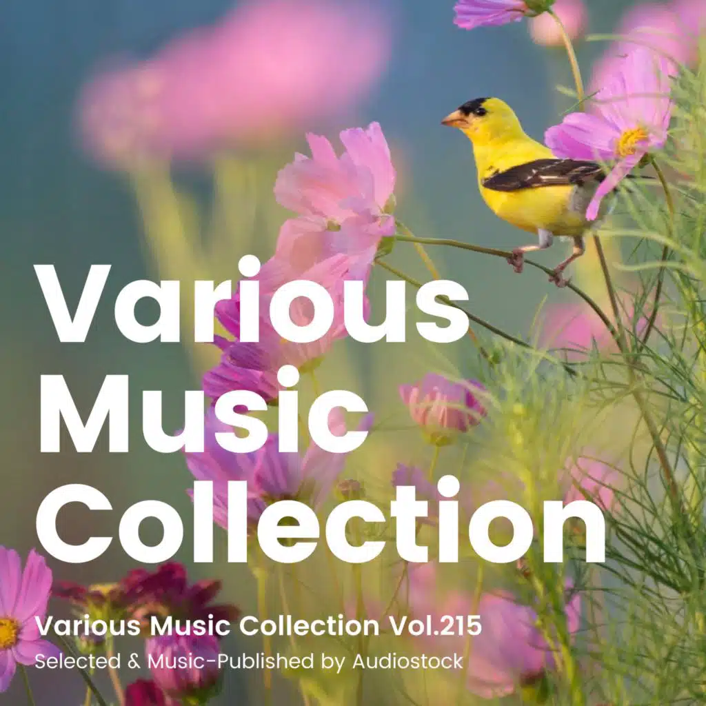 Various Music Collection Vol.215 -Selected & Music-Published by Audiostock-